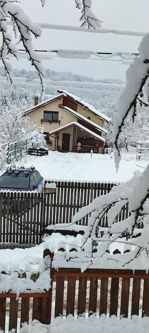 Cottage In Traditional Village Bradulet, Arges County Экстерьер фото