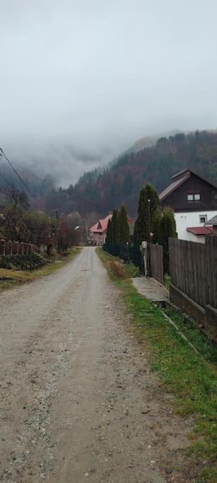Cottage In Traditional Village Bradulet, Arges County Экстерьер фото