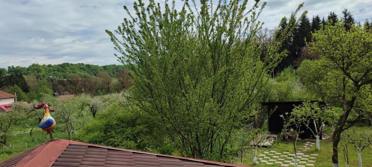 Cottage In Traditional Village Bradulet, Arges County Экстерьер фото