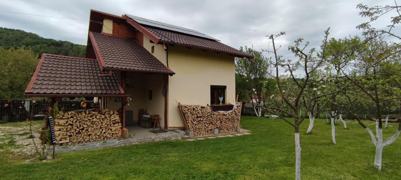 Cottage In Traditional Village Bradulet, Arges County Экстерьер фото