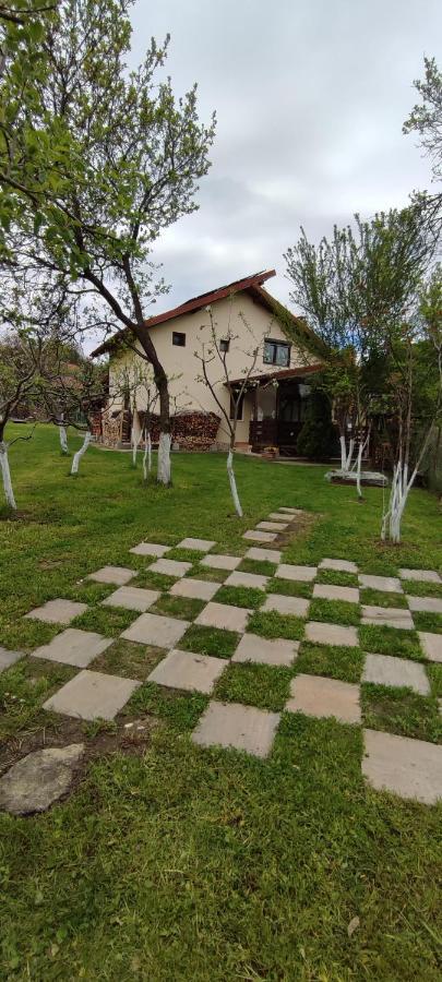 Cottage In Traditional Village Bradulet, Arges County Экстерьер фото