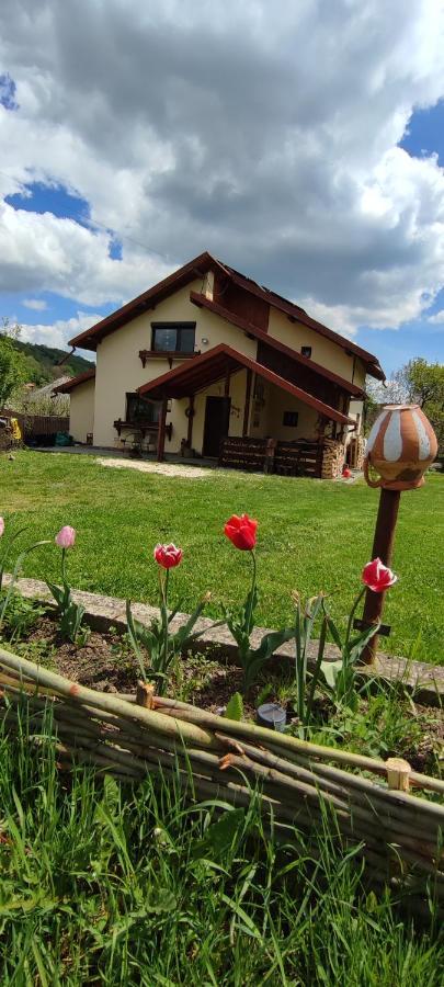 Cottage In Traditional Village Bradulet, Arges County Экстерьер фото