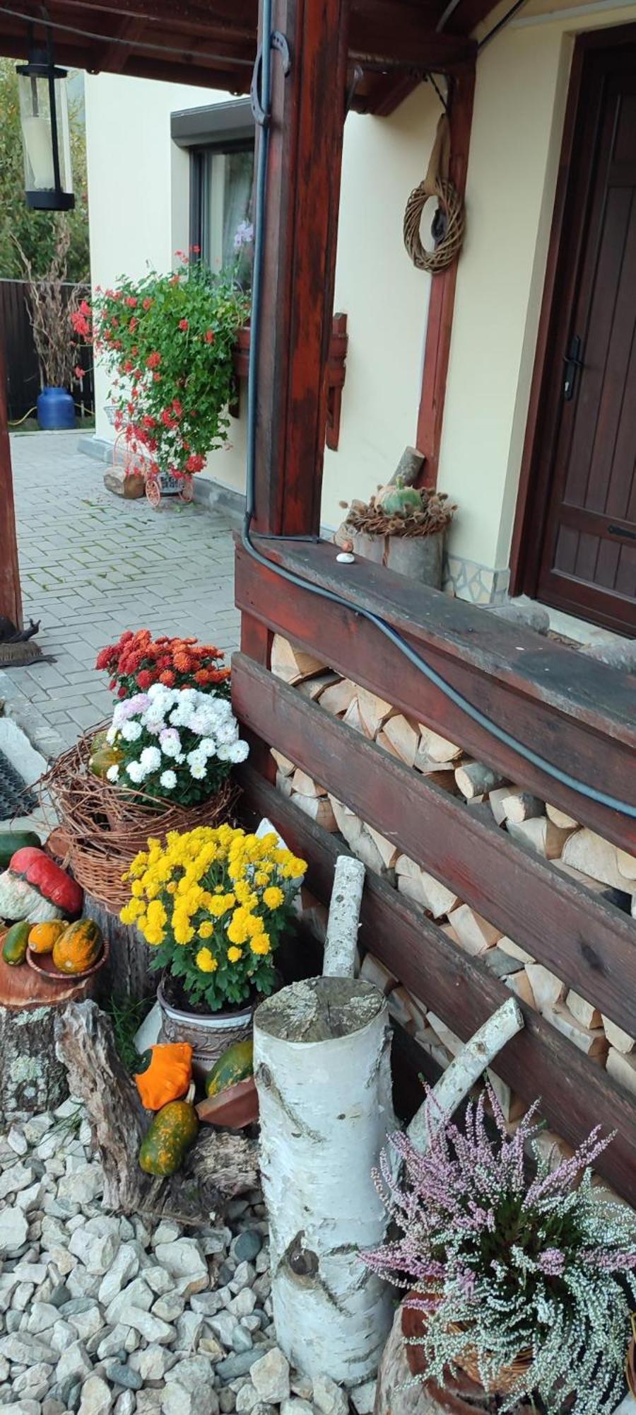 Cottage In Traditional Village Bradulet, Arges County Экстерьер фото